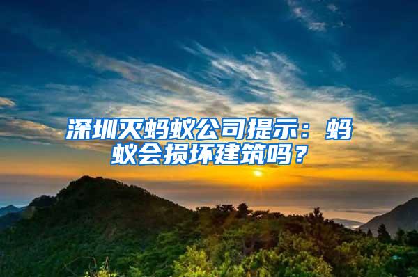 深圳滅螞蟻公司提示：螞蟻會損壞建筑嗎？