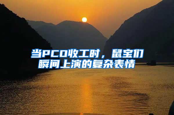 當(dāng)PCO收工時(shí)，鼠寶們瞬間上演的復(fù)雜表情