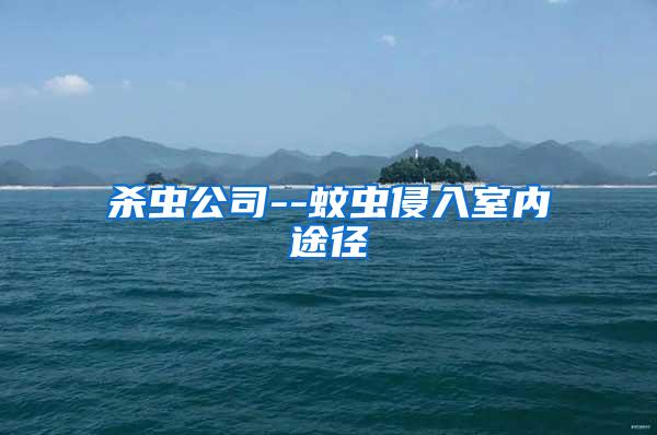 殺蟲公司--蚊蟲侵入室內(nèi)途徑