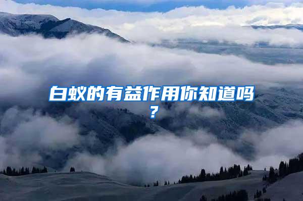白蟻的有益作用你知道嗎？