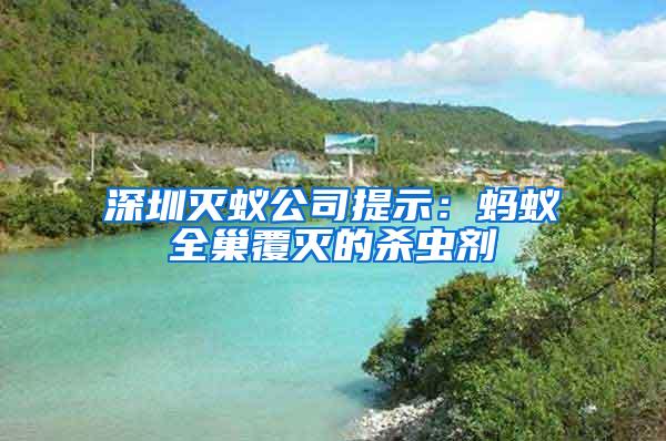 深圳滅蟻公司提示：螞蟻全巢覆滅的殺蟲劑