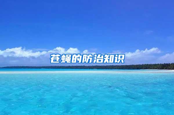 蒼蠅的防治知識(shí)