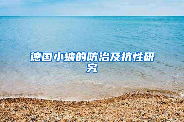 德國小蠊的防治及抗性研究