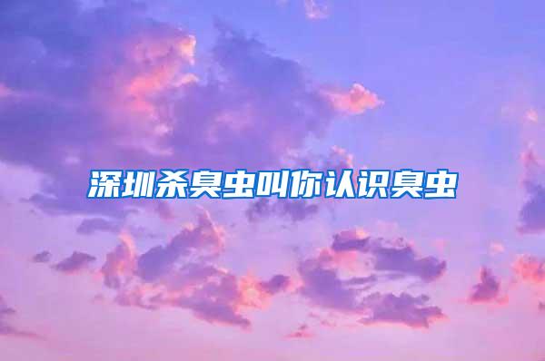 深圳殺臭蟲(chóng)叫你認(rèn)識(shí)臭蟲(chóng)