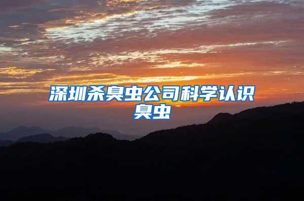 深圳殺臭蟲公司科學認識臭蟲