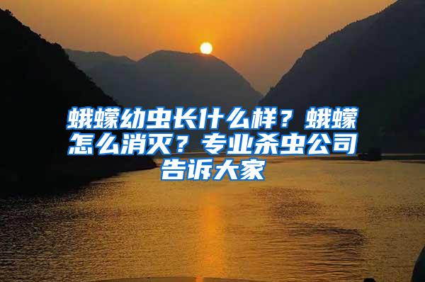 蛾蠓幼蟲長什么樣？蛾蠓怎么消滅？專業(yè)殺蟲公司告訴大家