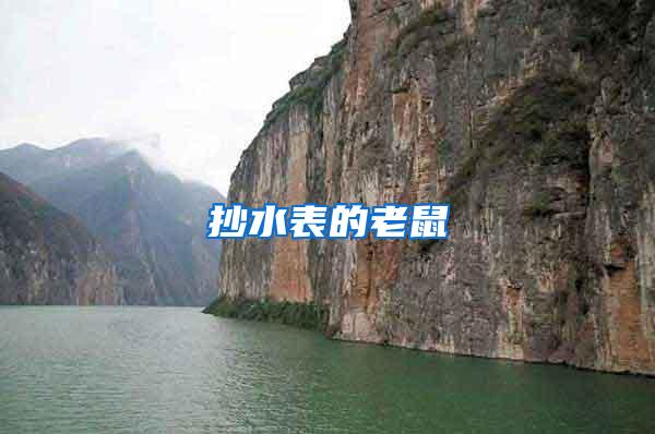 抄水表的老鼠