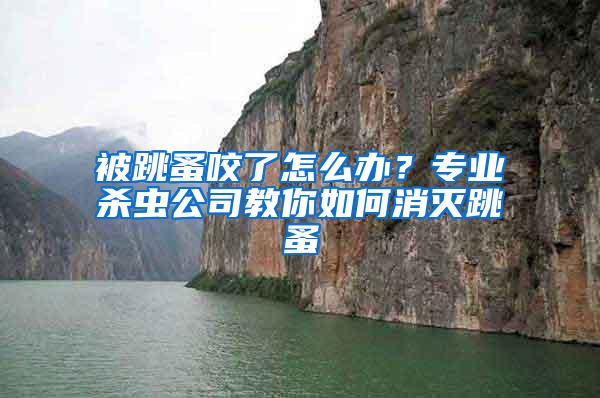 被跳蚤咬了怎么辦？專業(yè)殺蟲公司教你如何消滅跳蚤