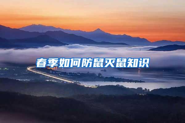 春季如何防鼠滅鼠知識(shí)