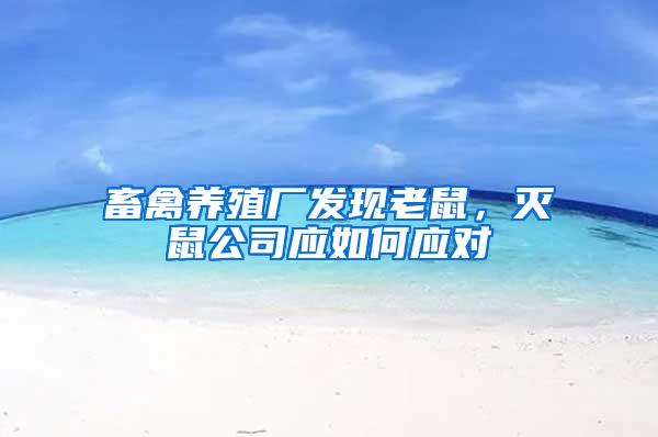 畜禽養殖廠發現老鼠，滅鼠公司應如何應對