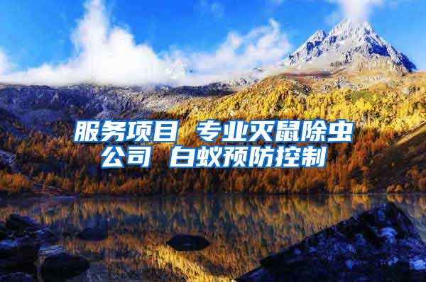 服務項目 專業滅鼠除蟲公司 白蟻預防控制