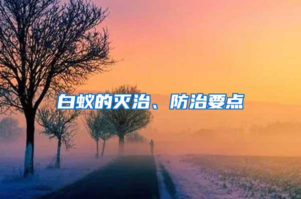 白蟻的滅治、防治要點(diǎn)