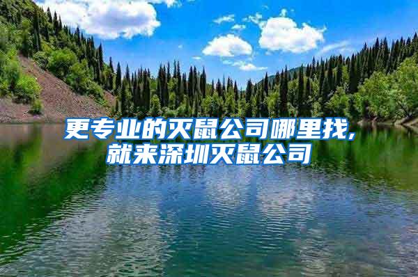更專業(yè)的滅鼠公司哪里找,就來(lái)深圳滅鼠公司