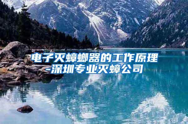 電子滅蟑螂器的工作原理-深圳專(zhuān)業(yè)滅蟑公司