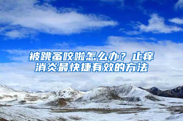 被跳蚤咬啦怎么辦？止癢消炎最快捷有效的方法