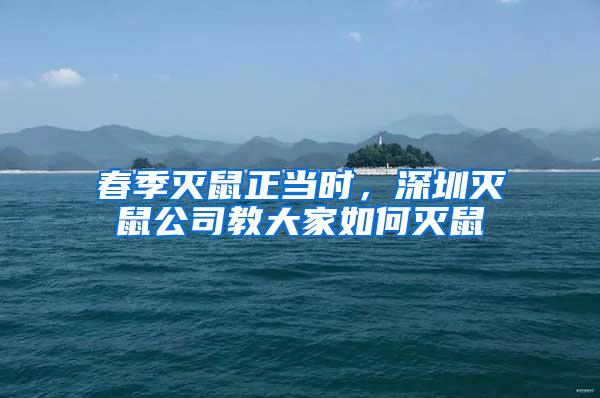 春季滅鼠正當(dāng)時，深圳滅鼠公司教大家如何滅鼠