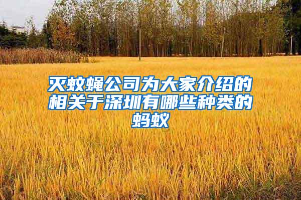 滅蚊蠅公司為大家介紹的相關于深圳有哪些種類的螞蟻