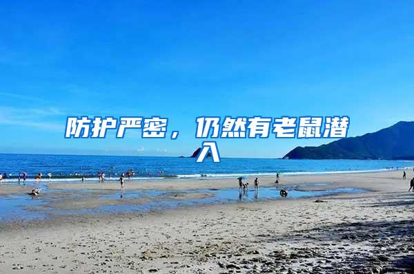 防護(hù)嚴(yán)密，仍然有老鼠潛入