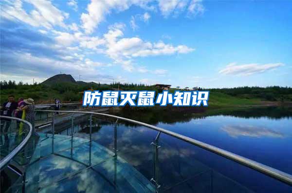 防鼠滅鼠小知識