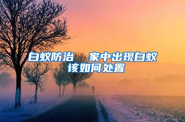 白蟻防治  家中出現白蟻 該如何處置