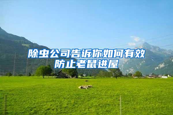 除蟲公司告訴你如何有效防止老鼠進(jìn)屋