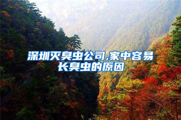 深圳滅臭蟲公司,家中容易長臭蟲的原因