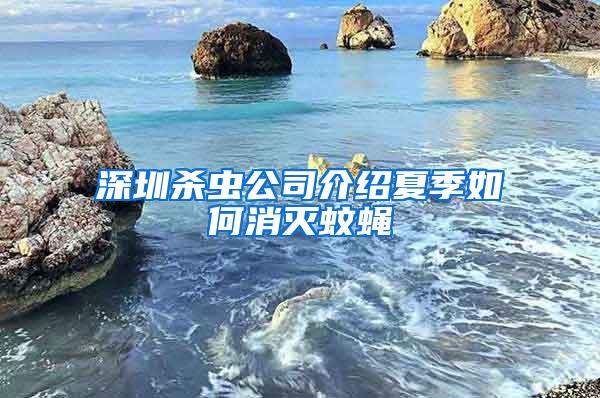 深圳殺蟲公司介紹夏季如何消滅蚊蠅