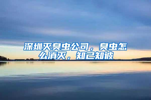 深圳滅臭蟲公司，臭蟲怎么消滅，知己知彼