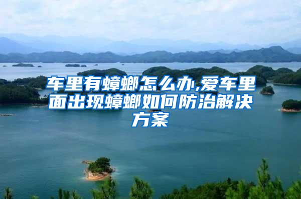 車?yán)镉畜朐趺崔k,愛車?yán)锩娉霈F(xiàn)蟑螂如何防治解決方案
