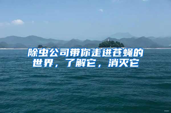 除蟲公司帶你走進蒼蠅的世界，了解它，消滅它
