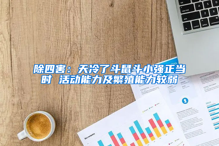 除四害：天冷了斗鼠斗小強(qiáng)正當(dāng)時(shí) 活動(dòng)能力及繁殖能力較弱