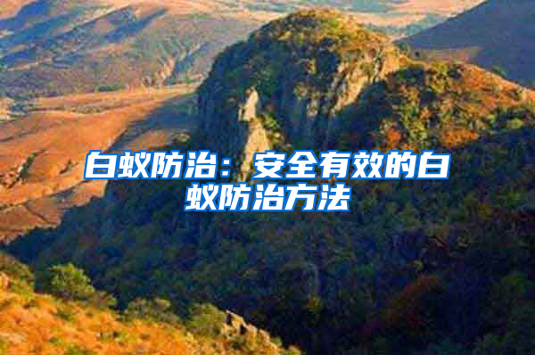 白蟻防治：安全有效的白蟻防治方法