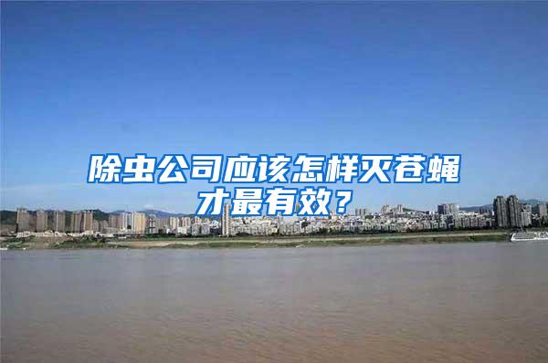 除蟲公司應(yīng)該怎樣滅蒼蠅才最有效？