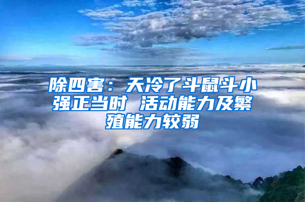 除四害：天冷了斗鼠斗小強正當時 活動能力及繁殖能力較弱