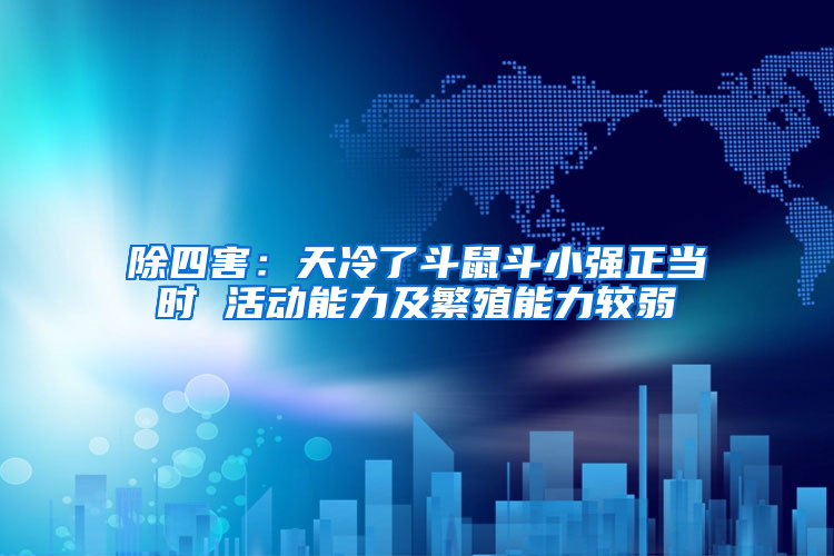 除四害：天冷了斗鼠斗小強(qiáng)正當(dāng)時(shí) 活動(dòng)能力及繁殖能力較弱