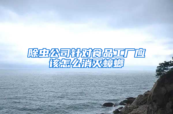 除蟲公司針對食品工廠應(yīng)該怎么消滅蟑螂