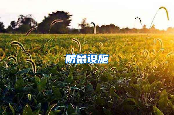 防鼠設施
