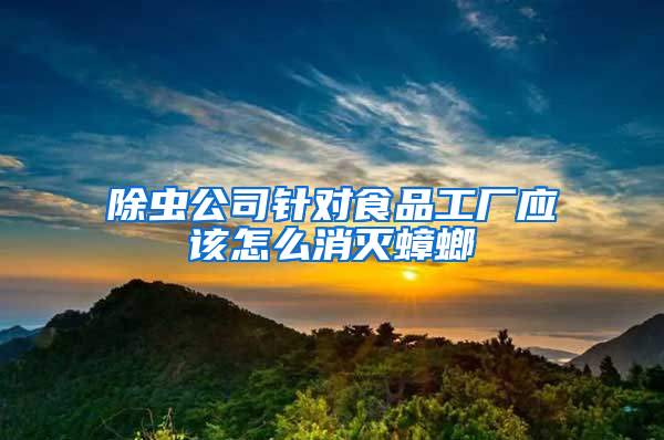 除蟲(chóng)公司針對(duì)食品工廠應(yīng)該怎么消滅蟑螂
