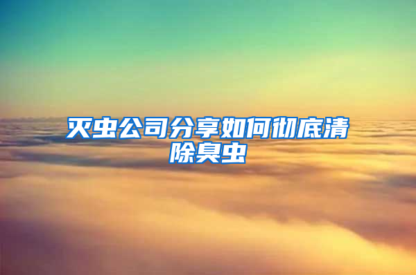 滅蟲(chóng)公司分享如何徹底清除臭蟲(chóng)