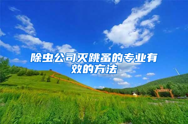 除蟲公司滅跳蚤的專業有效的方法