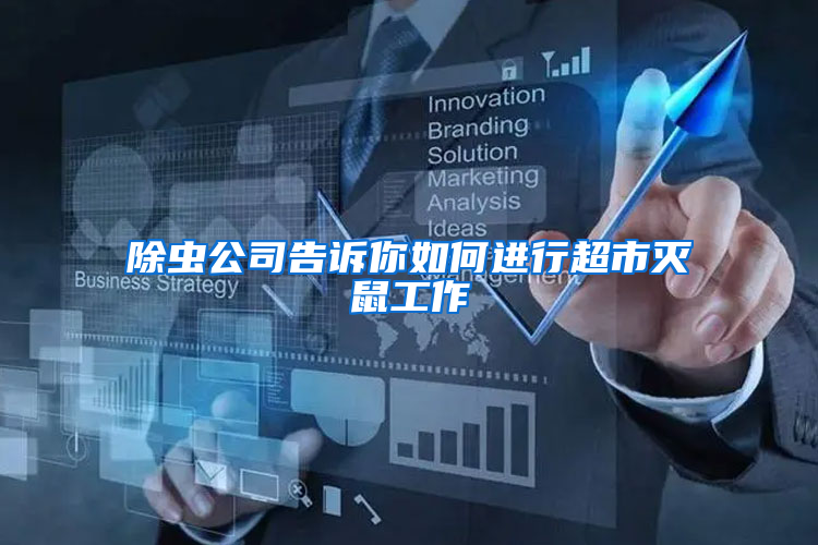 除蟲(chóng)公司告訴你如何進(jìn)行超市滅鼠工作
