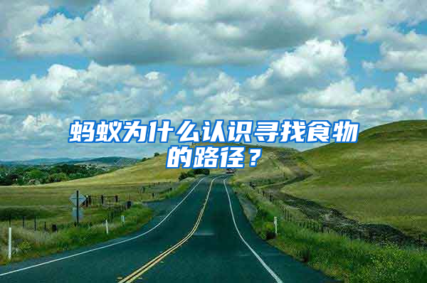 螞蟻為什么認(rèn)識尋找食物的路徑？