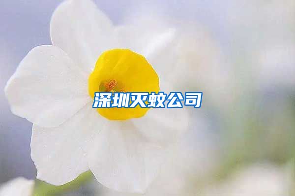 深圳滅蚊公司
