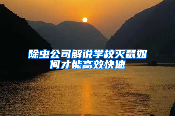 除蟲公司解說學(xué)校滅鼠如何才能高效快速