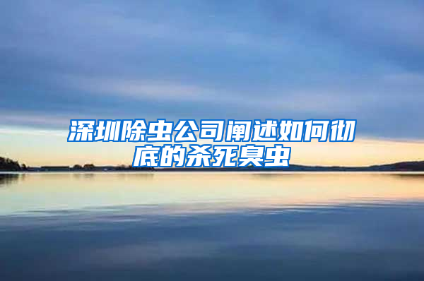 深圳除蟲公司闡述如何徹底的殺死臭蟲