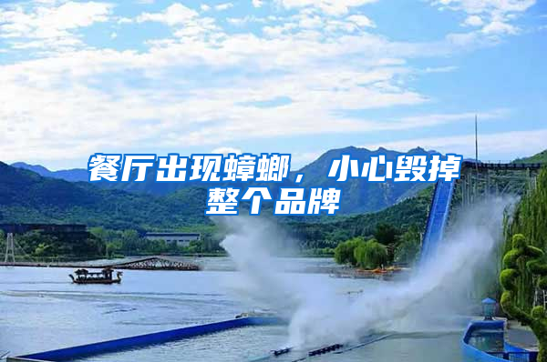 餐廳出現蟑螂，小心毀掉整個品牌