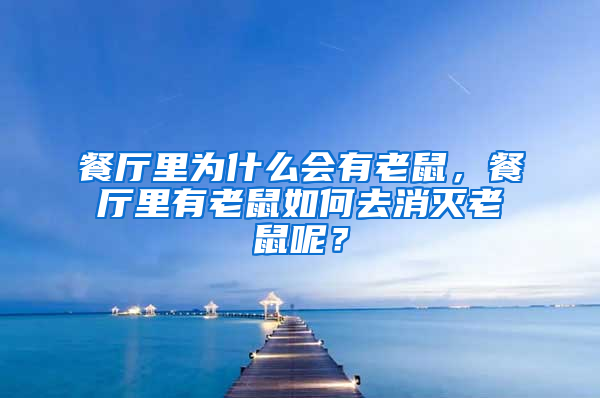 餐廳里為什么會(huì)有老鼠，餐廳里有老鼠如何去消滅老鼠呢？