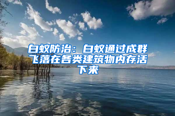 白蟻防治：白蟻通過成群飛落在各類建筑物內存活下來