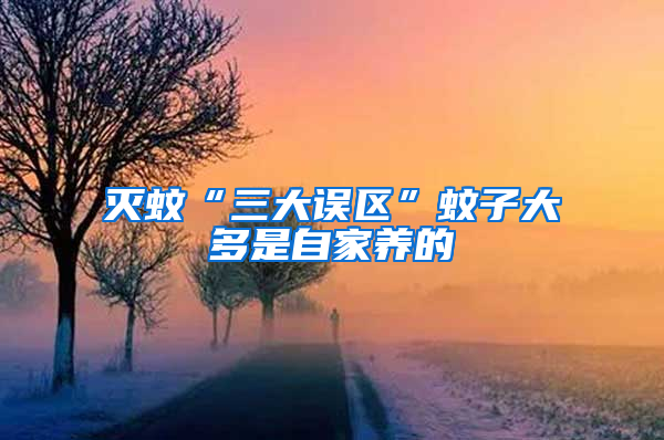 滅蚊“三大誤區(qū)”蚊子大多是自家養(yǎng)的