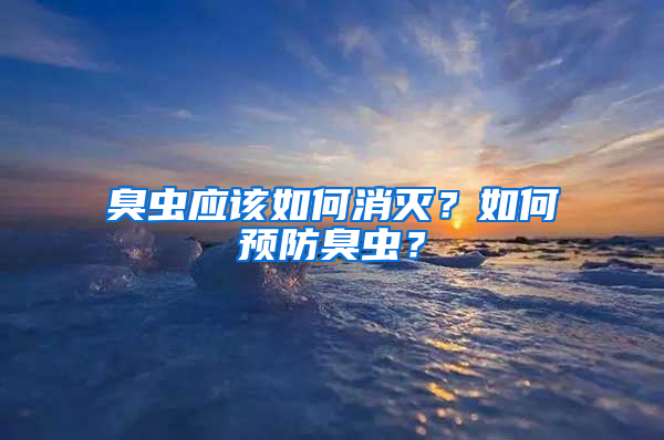 臭蟲應該如何消滅?如何預防臭蟲?